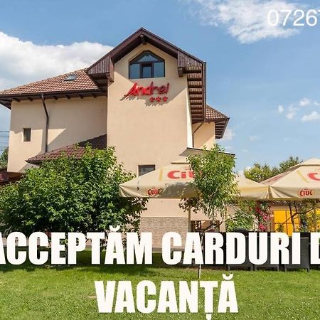 Pensiunea Andrei Rm Valcea Râmnicu Vâlcea 외부 사진