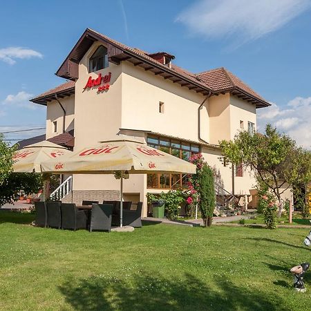Pensiunea Andrei Rm Valcea Râmnicu Vâlcea 외부 사진