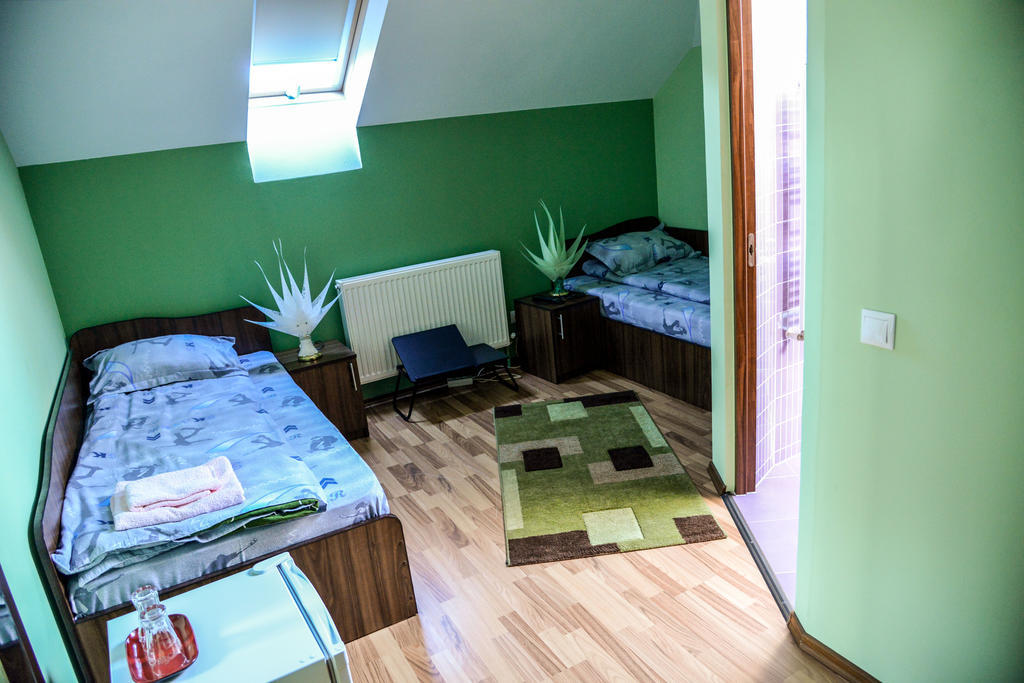 Pensiunea Andrei Rm Valcea Râmnicu Vâlcea 객실 사진