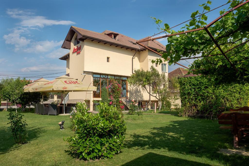 Pensiunea Andrei Rm Valcea Râmnicu Vâlcea 외부 사진