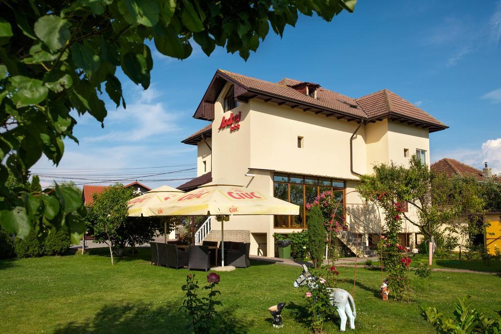 Pensiunea Andrei Rm Valcea Râmnicu Vâlcea 외부 사진